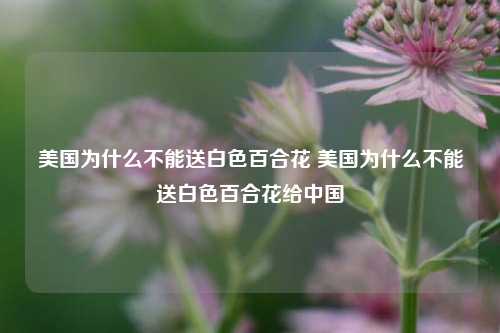 美国为什么不能送白色百合花 美国为什么不能送白色百合花给中国