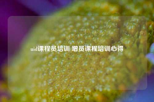 uid课程员培训 增员课程培训心得