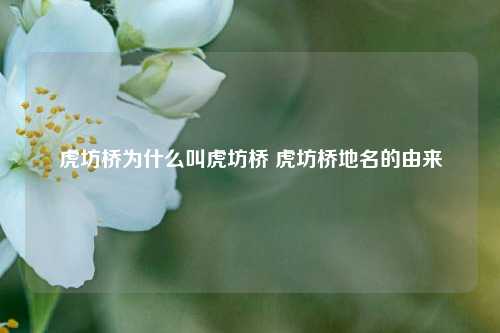 虎坊桥为什么叫虎坊桥 虎坊桥地名的由来