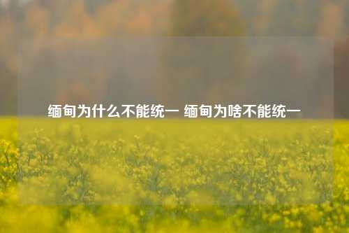 缅甸为什么不能统一 缅甸为啥不能统一