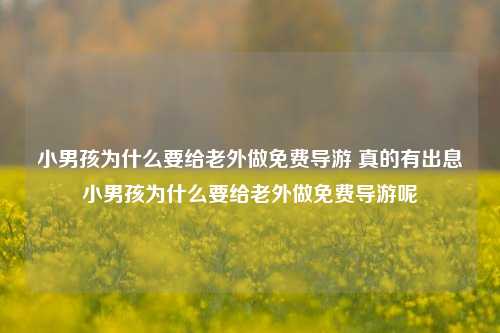 小男孩为什么要给老外做免费导游 真的有出息小男孩为什么要给老外做免费导游呢