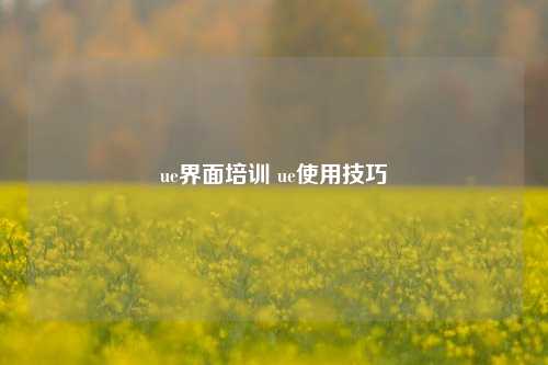 ue界面培训 ue使用技巧