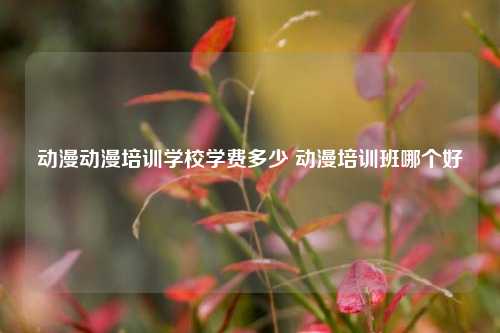 动漫动漫培训学校学费多少 动漫培训班哪个好