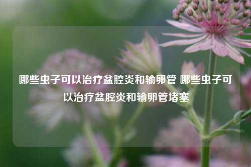 哪些虫子可以治疗盆腔炎和输卵管 哪些虫子可以治疗盆腔炎和输卵管堵塞