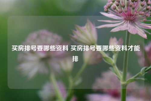 买房排号要哪些资料 买房排号要哪些资料才能排