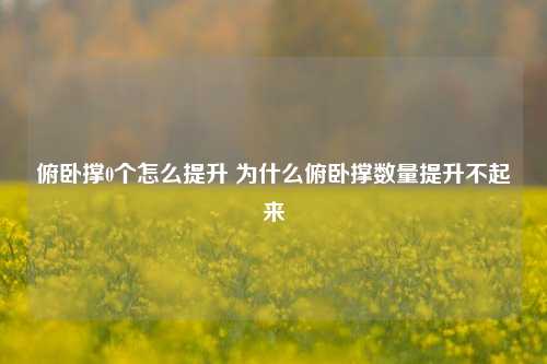 俯卧撑0个怎么提升 为什么俯卧撑数量提升不起来