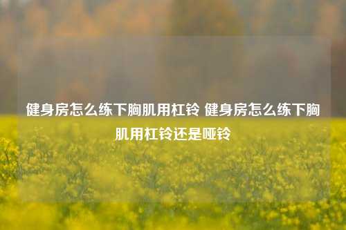 健身房怎么练下胸肌用杠铃 健身房怎么练下胸肌用杠铃还是哑铃