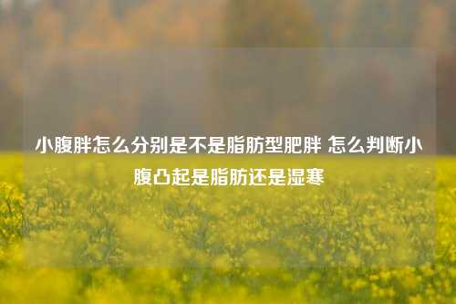 小腹胖怎么分别是不是脂肪型肥胖 怎么判断小腹凸起是脂肪还是湿寒