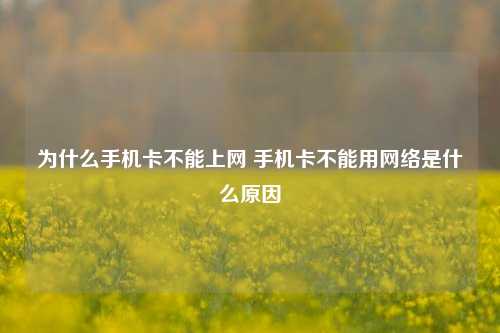 为什么手机卡不能上网 手机卡不能用网络是什么原因