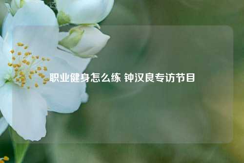 职业健身怎么练 钟汉良专访节目