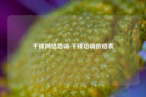 千锋网络培训 千锋培训价格表