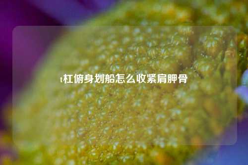 t杠俯身划船怎么收紧肩胛骨