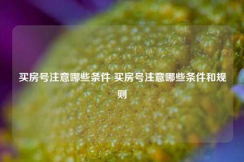 买房号注意哪些条件 买房号注意哪些条件和规则