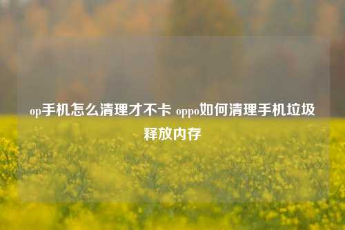 op手机怎么清理才不卡 oppo如何清理手机垃圾释放内存