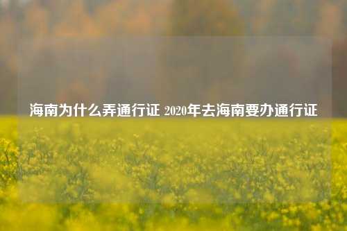 海南为什么弄通行证 2020年去海南要办通行证