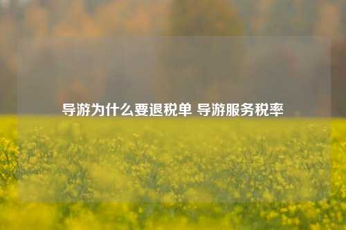 导游为什么要退税单 导游服务税率