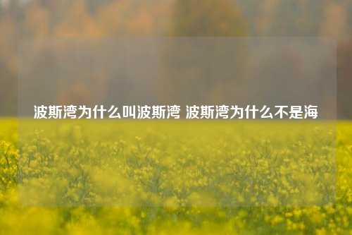 波斯湾为什么叫波斯湾 波斯湾为什么不是海