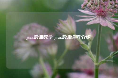 java培训教学 java培训课程介绍