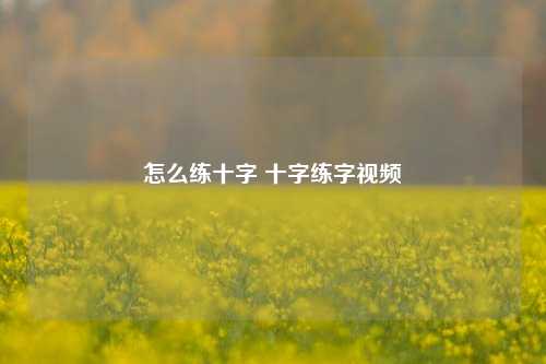 怎么练十字 十字练字视频