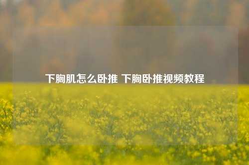 下胸肌怎么卧推 下胸卧推视频教程