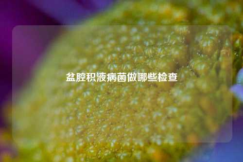 盆腔积液病菌做哪些检查