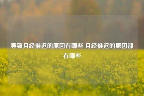 导致月经推迟的原因有哪些 月经推迟的原因都有哪些