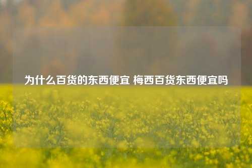 为什么百货的东西便宜 梅西百货东西便宜吗