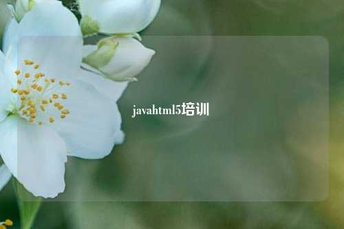 javahtml5培训