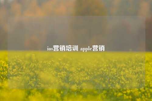 ios营销培训 apple营销