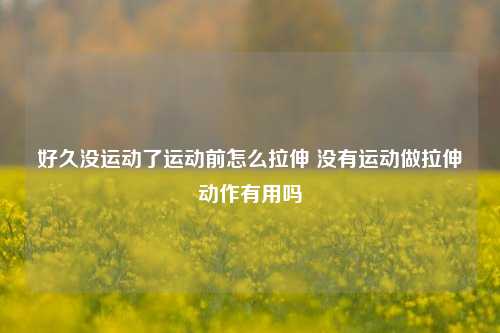 好久没运动了运动前怎么拉伸 没有运动做拉伸动作有用吗