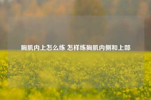 胸肌内上怎么练 怎样练胸肌内侧和上部