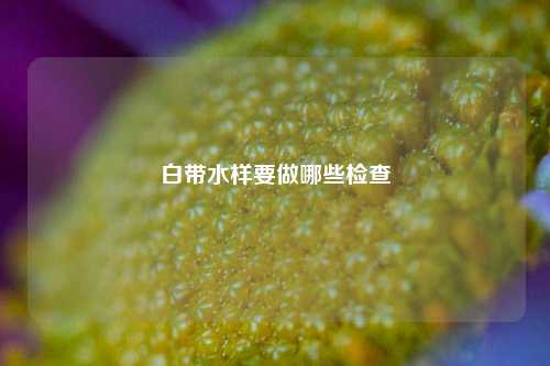 白带水样要做哪些检查