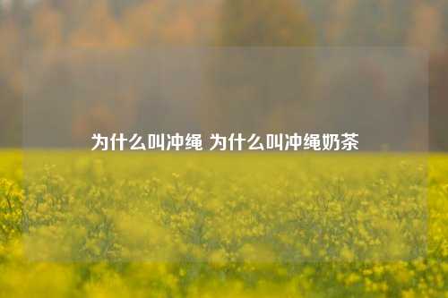 为什么叫冲绳 为什么叫冲绳奶茶