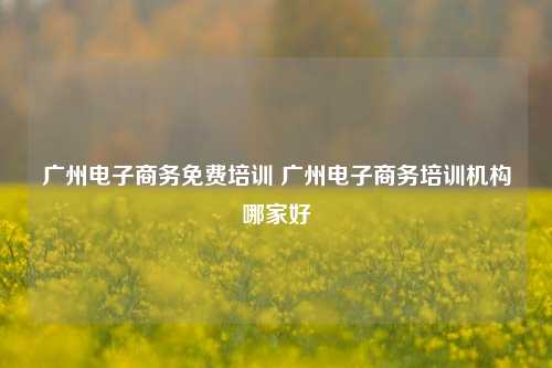 广州电子商务免费培训 广州电子商务培训机构哪家好