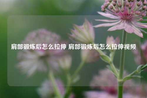 肩部锻炼后怎么拉伸 肩部锻炼后怎么拉伸视频