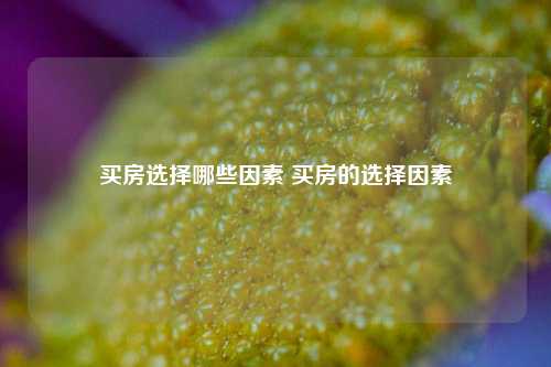 买房选择哪些因素 买房的选择因素