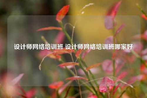 设计师网络培训班 设计师网络培训班哪家好