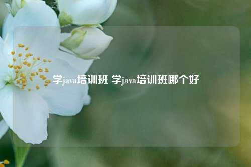 学java培训班 学java培训班哪个好