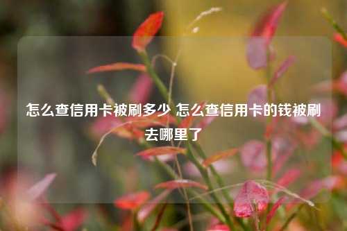 怎么查信用卡被刷多少 怎么查信用卡的钱被刷去哪里了