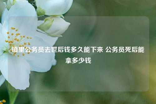 镇里公务员去世后钱多久能下来 公务员死后能拿多少钱