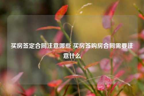 买房签定合同注意哪些 买房签购房合同需要注意什么