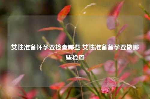 女性准备怀孕要检查哪些 女性准备备孕要做哪些检查