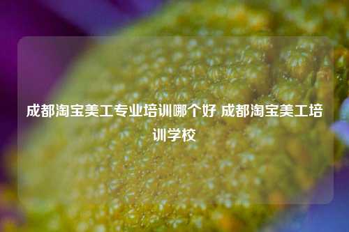 成都淘宝美工专业培训哪个好 成都淘宝美工培训学校