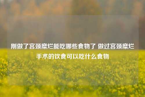 刚做了宫颈糜烂能吃哪些食物了 做过宫颈糜烂手术的饮食可以吃什么食物