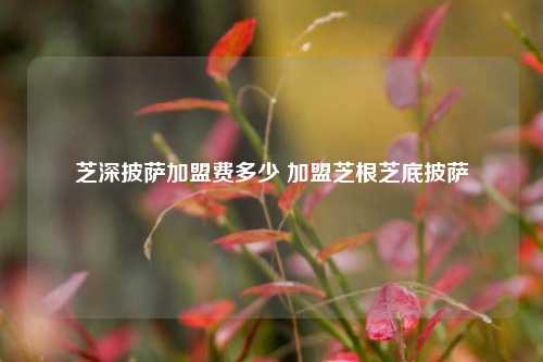 芝深披萨加盟费多少 加盟芝根芝底披萨