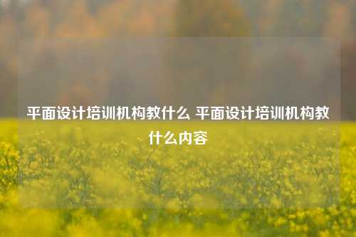 平面设计培训机构教什么 平面设计培训机构教什么内容