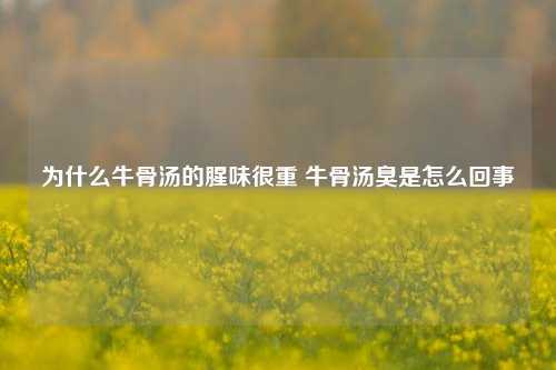 为什么牛骨汤的腥味很重 牛骨汤臭是怎么回事