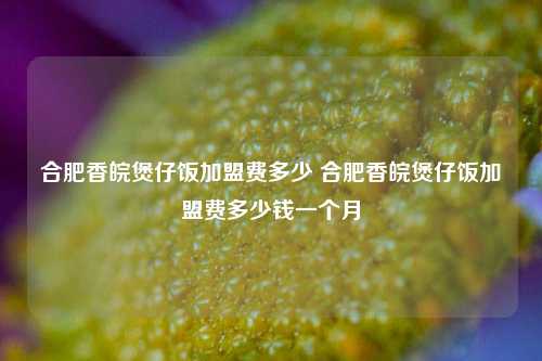 合肥香皖煲仔饭加盟费多少 合肥香皖煲仔饭加盟费多少钱一个月