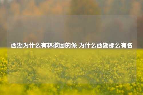 西湖为什么有林徽因的像 为什么西湖那么有名