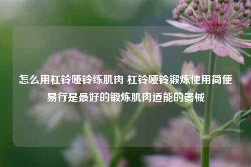 怎么用杠铃哑铃练肌肉 杠铃哑铃锻炼使用简便易行是最好的锻炼肌肉适能的器械